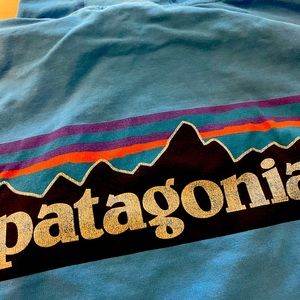 Mens blue Patagonia Hoody sweatshirt
